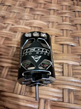 Fan19013s Fantom 13.5 Brushless Motor