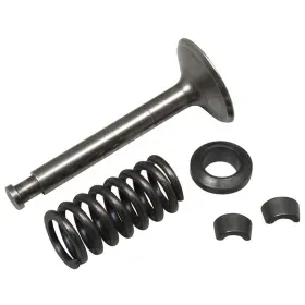 Fs70s2.91s2 Os Engines Osmg9218 45960001 Intake Valve Assy 1set