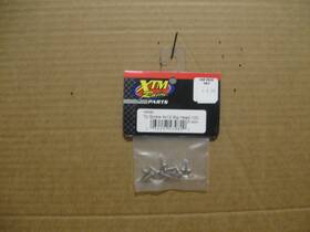 Xtm 148584 X-xtm Tp Big Head Screws / 4x12mm #