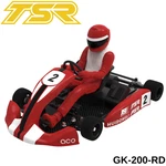 Team Saxo GK-200 1/8 Go Kart Kit Artr Red Brushless Racing Cart Hobby New. Price: $249.99.