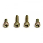 Team Associated #6515 Motor Mounting Screw 3MM Thread New. Price: $30.96.