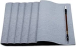 Dianelhall 6 Pieces Water Drawing Writing Cloth Reusable Paper White New. Price: $13.05.