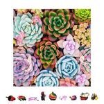 Hrp Zenchalet Puzzles Succulent Sensation Wooden 500 Pcs New. Price: $59.98.