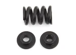 Team Associated 91801 B6.1/B6.1D Slipper Spring Set New. Price: $6.99.