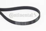 Continental Ctam 6PK1200 V-ribbed Belt For Citroen Dacia Land Rover Mazda Merce Neu. Price: $22.09.